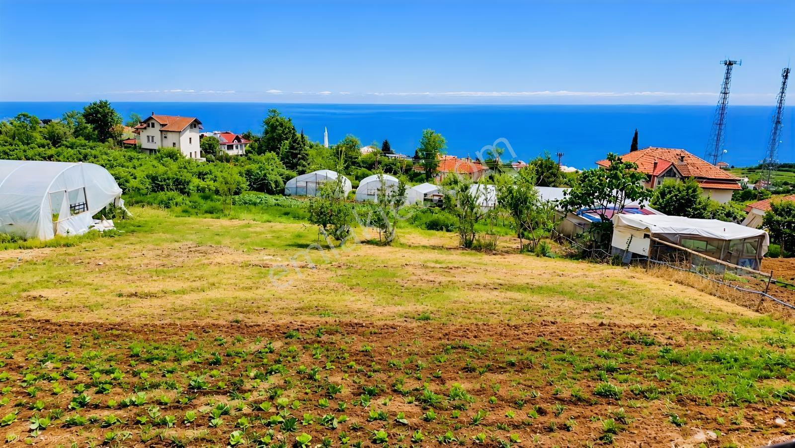 Akyazı Deniz Manzaralı 4 Kat İmarlı Yatırımlık Arsa