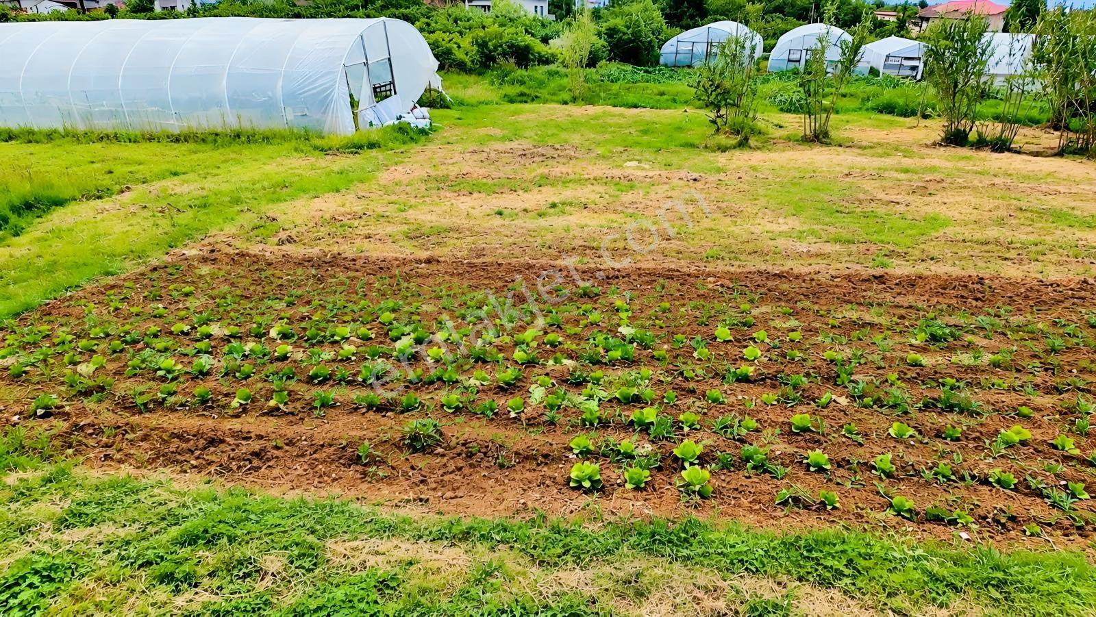 Akyazı Deniz Manzaralı 4 Kat İmarlı Yatırımlık Arsa — fotoğraf 2