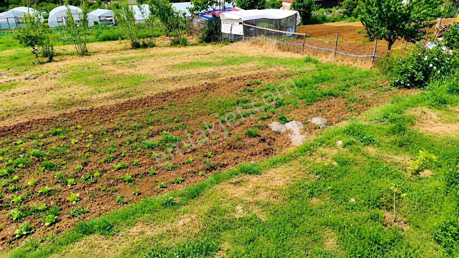 Akyazı Deniz Manzaralı 4 Kat İmarlı Yatırımlık Arsa — fotoğraf 3