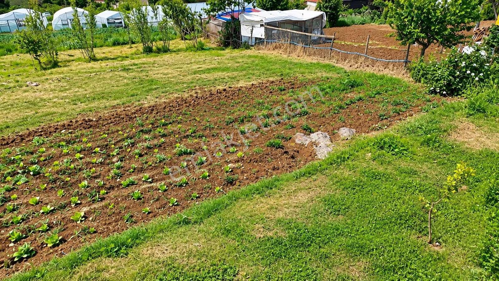 Akyazı Deniz Manzaralı 4 Kat İmarlı Yatırımlık Arsa — fotoğraf 20