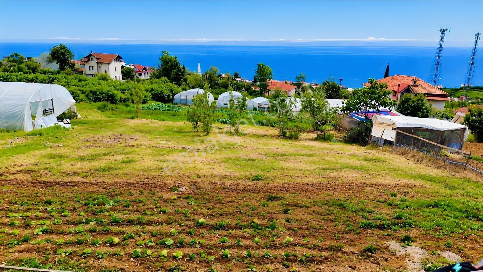 Akyazı Deniz Manzaralı 4 Kat İmarlı Yatırımlık Arsa — fotoğraf 21