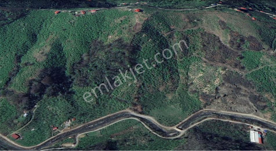 Giresun Merkez Aydınlar Köyünde Satılık Arazi — fotoğraf 6