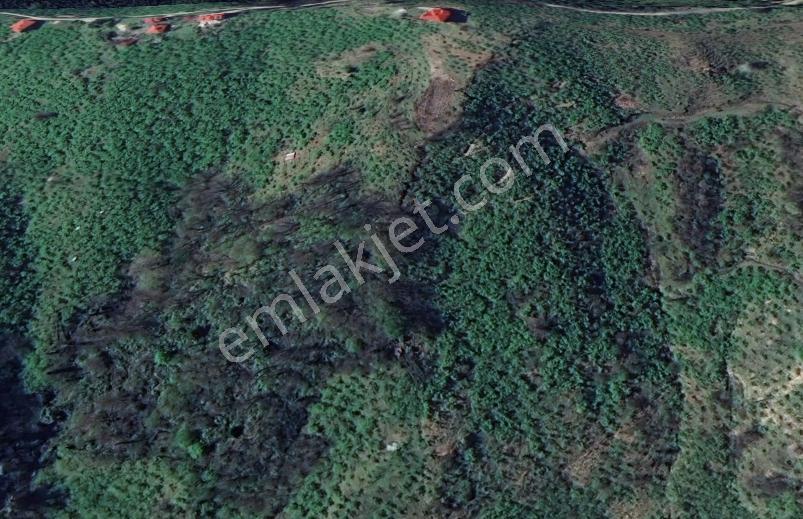 Giresun Merkez Aydınlar Köyünde Satılık Arazi — fotoğraf 7