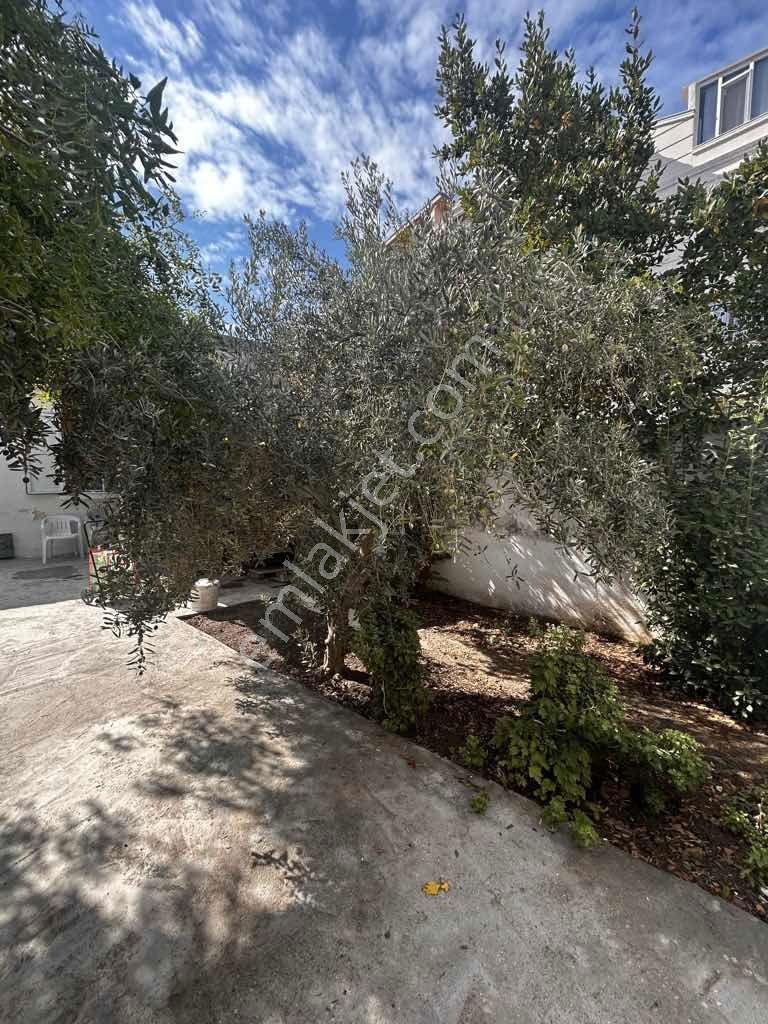 Çandarlı Merkezde, Denize 2 Dakika Mesafede, Bahçeli 2+1 Müstakil Ev — fotoğraf 30