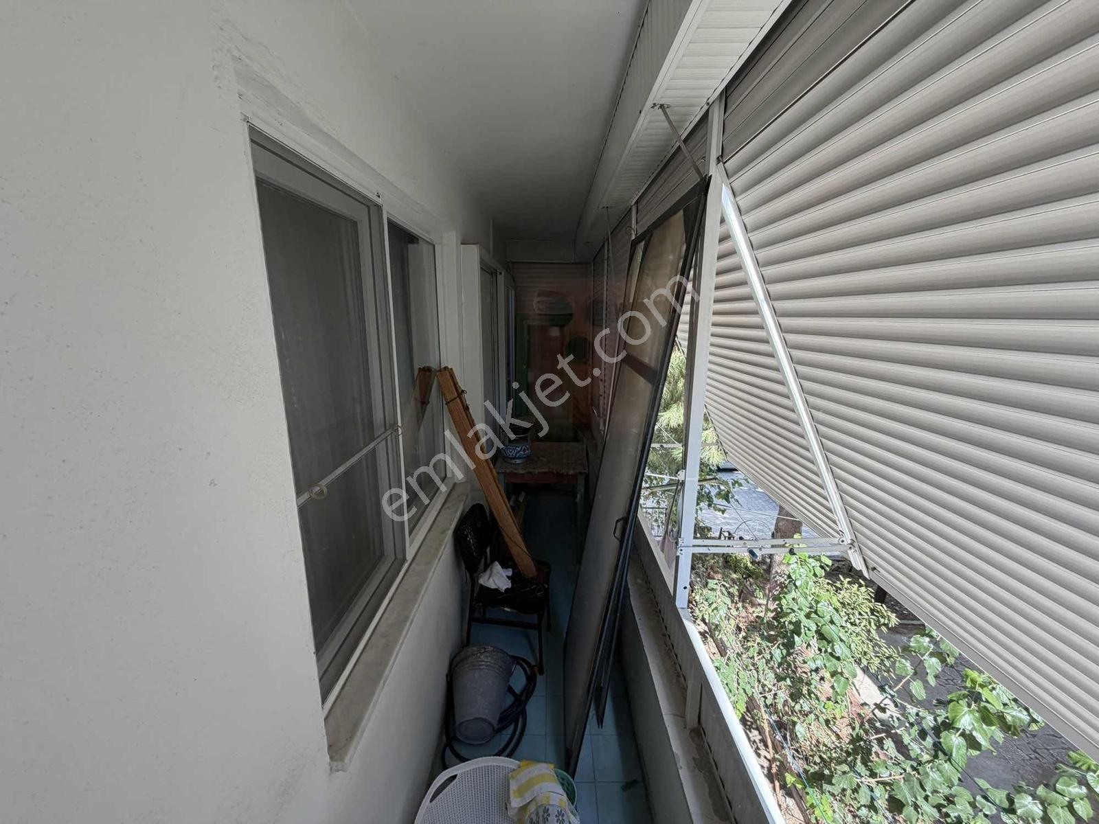 Sv 'den Yetkili 2+1 Cuma Pazarında — fotoğraf 27