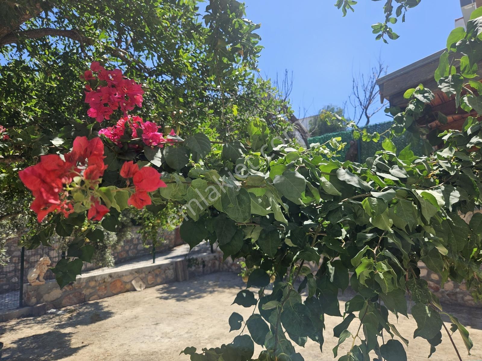 Çeşme Çiftlikköy Serakent Sitesinde Satılık Tripleks 3+1 Villa — fotoğraf 22