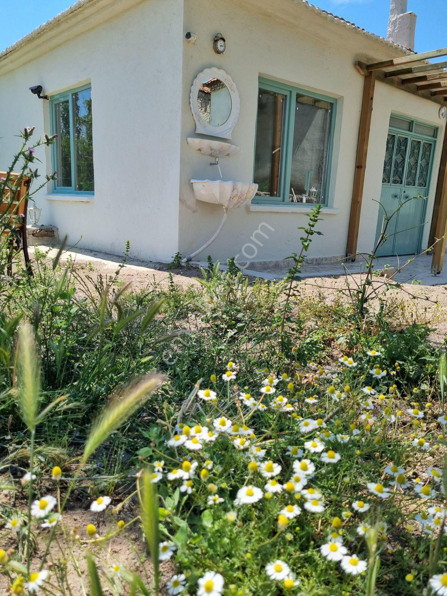 Çanakkale Ayvacık Kazdagları Bolgesı Mustakıl Taş Ev — fotoğraf 9
