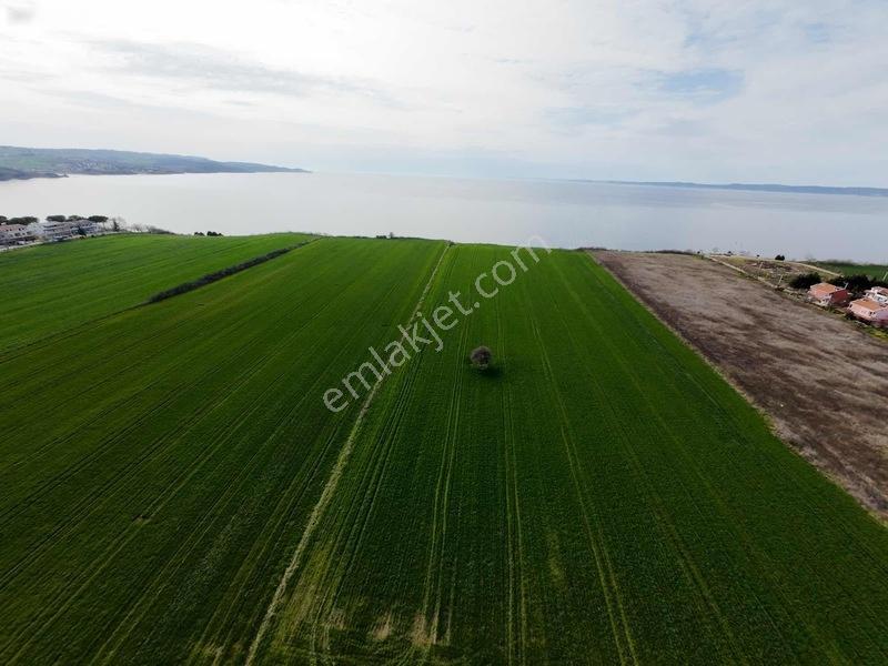 Geliboluda Denize Sıfır Konut İmarlı Satılık Uygun Arsa — fotoğraf 14