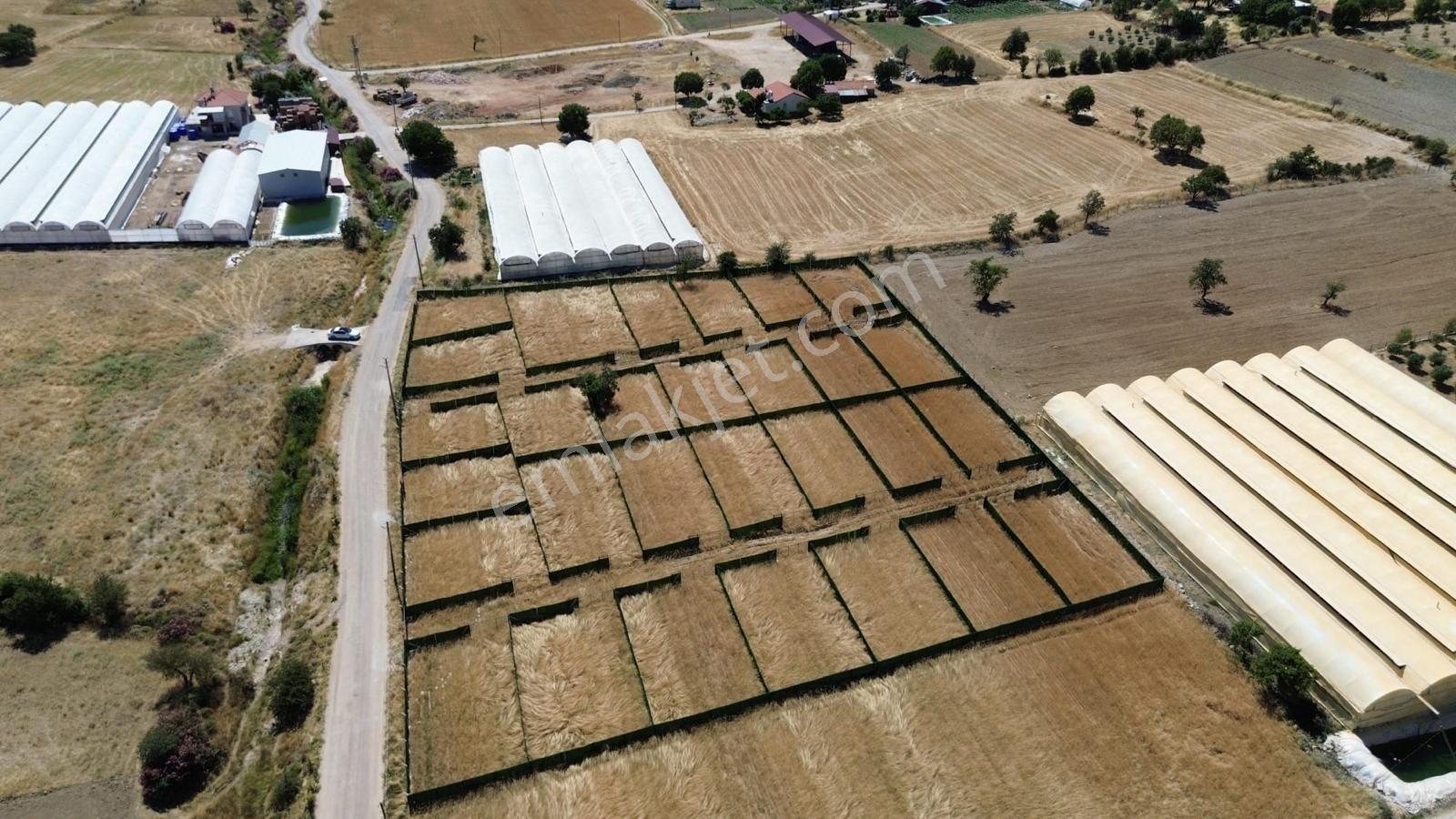 Sarıbelen'de Satılık Yatırımlık Hisse — fotoğraf 2