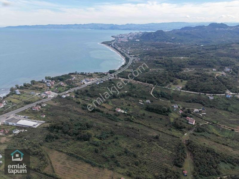 Ünye Eskikızılcakese'De İmarlı Köşe Parsel Satılık 742 M2 Arsa