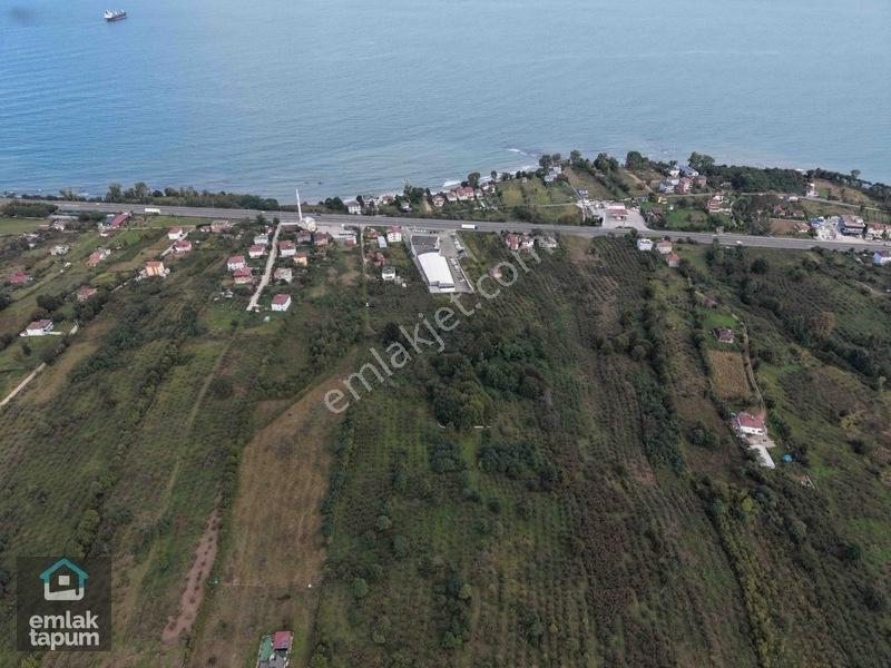 Ünye Eskikızılcakese'de İmarlı Köşe Parsel Satılık 742 M2 Arsa — fotoğraf 2