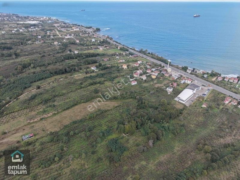 Ünye Eskikızılcakese'de İmarlı Köşe Parsel Satılık 742 M2 Arsa — fotoğraf 3