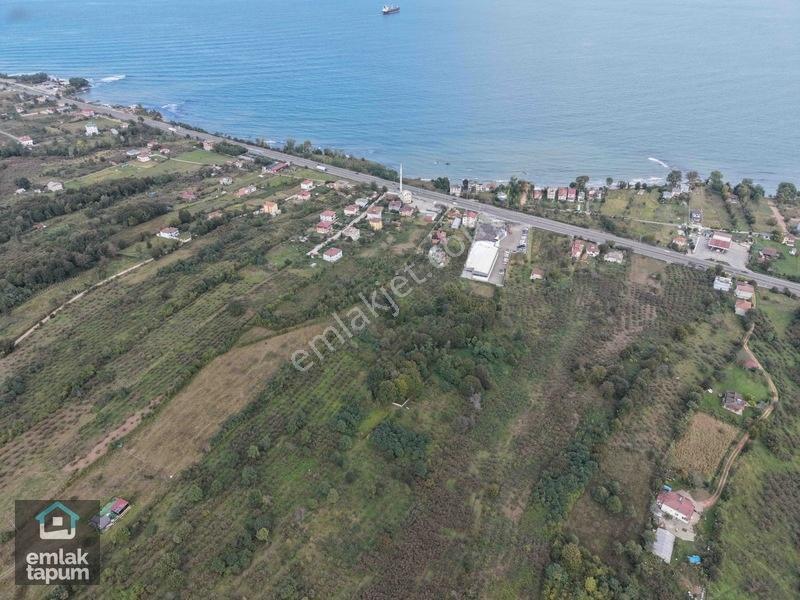 Ünye Eskikızılcakese'de İmarlı Köşe Parsel Satılık 742 M2 Arsa — fotoğraf 4