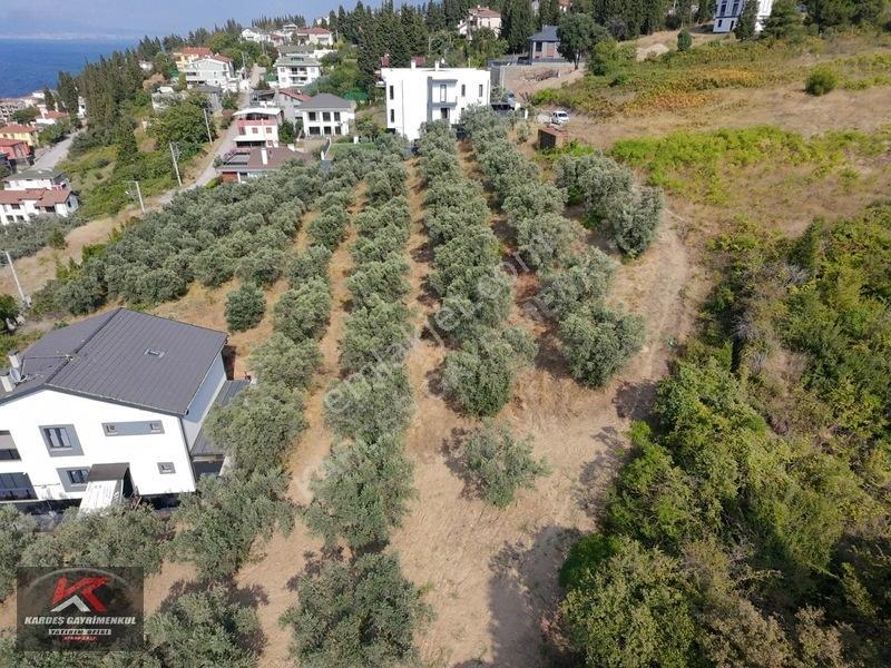 Kardeşten Kayacık'ta 474 M² %25 İmarlı Deniz Manzaralı Arsa — fotoğraf 6