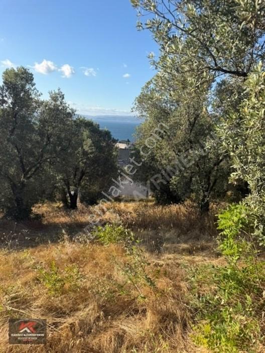 Kardeşten Kayacık'ta 474 M² %25 İmarlı Deniz Manzaralı Arsa — fotoğraf 19