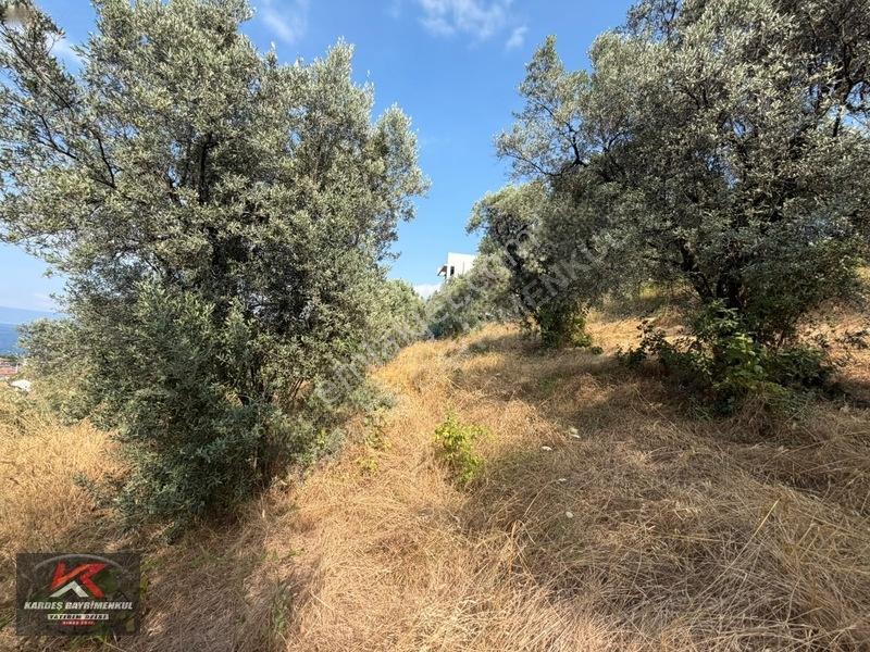 Kardeşten Kayacık'ta 474 M² %25 İmarlı Deniz Manzaralı Arsa — fotoğraf 29