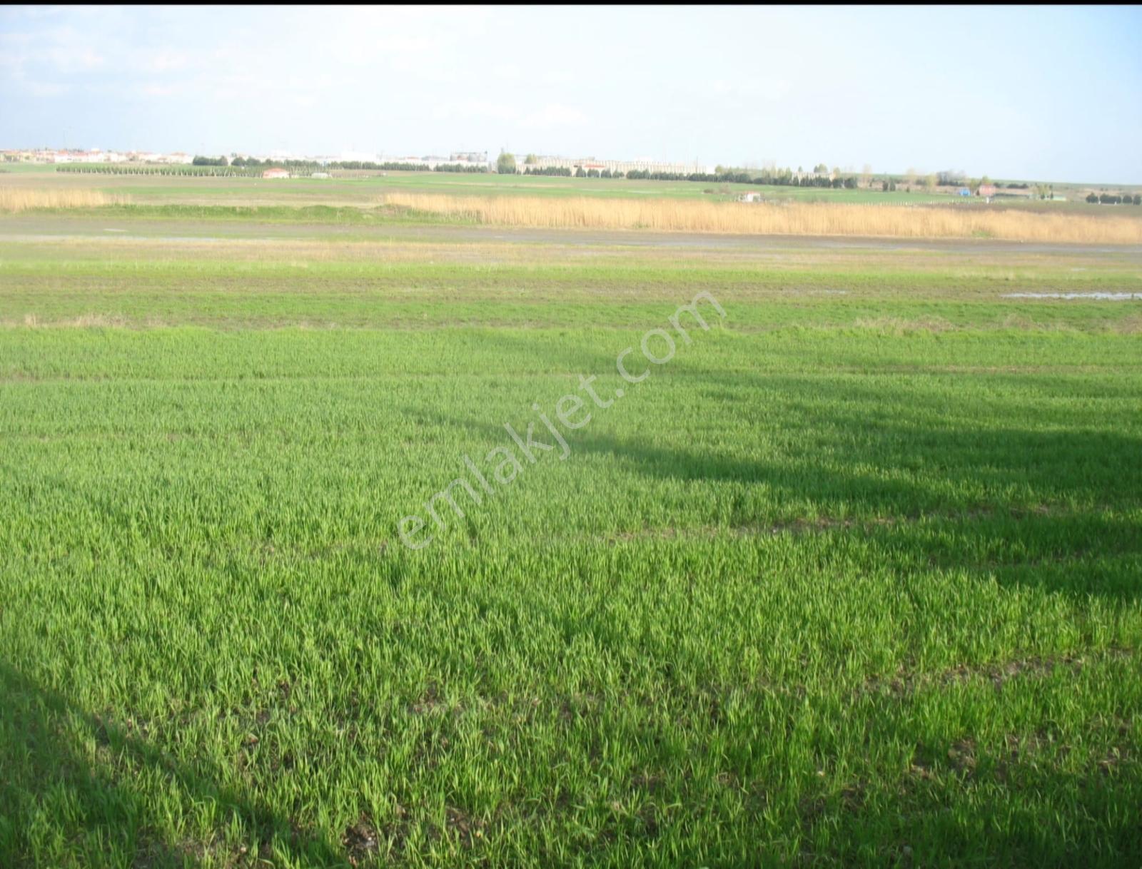 Redstone Lüleburgaz B.karıştıran'da 18.474 M² Satılık Tarla — fotoğraf 23