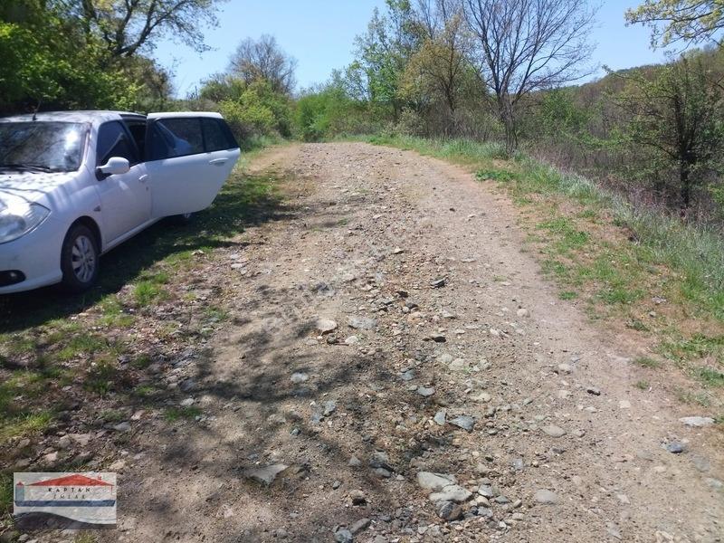 Yenice, Kovancı Köyü, Yolu Ve Suyu Olan Çilek Tarlası. — fotoğraf 9