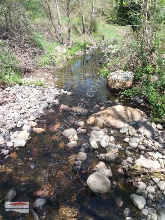 Yenice, Kovancı Köyü, Yolu Ve Suyu Olan Çilek Tarlası. — fotoğraf 10