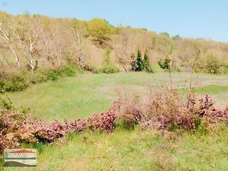 Yenice, Kovancı Köyü, Yolu Ve Suyu Olan Çilek Tarlası. — fotoğraf 12