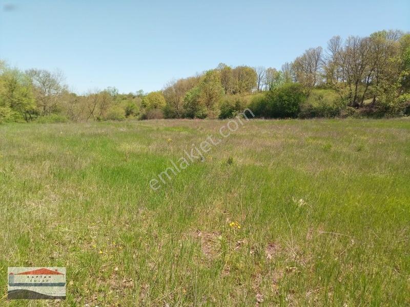 Yenice, Kovancı Köyü, Yolu Ve Suyu Olan Çilek Tarlası. — fotoğraf 16