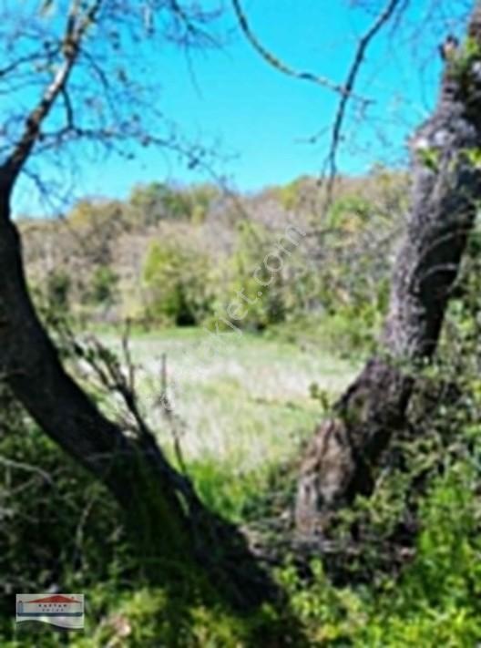 Yenice, Kovancı Köyü, Yolu Ve Suyu Olan Çilek Tarlası. — fotoğraf 17