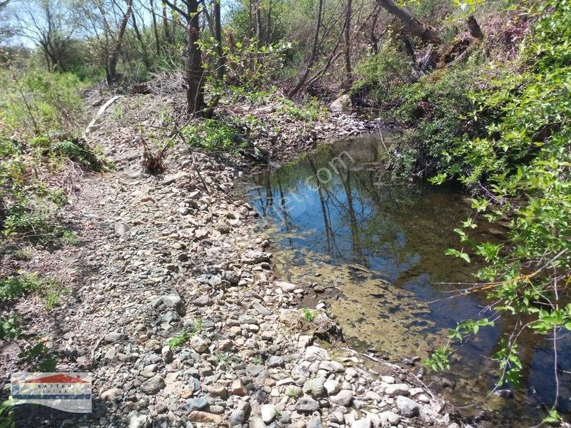 Yenice, Kovancı Köyü, Yolu Ve Suyu Olan Çilek Tarlası. — fotoğraf 18
