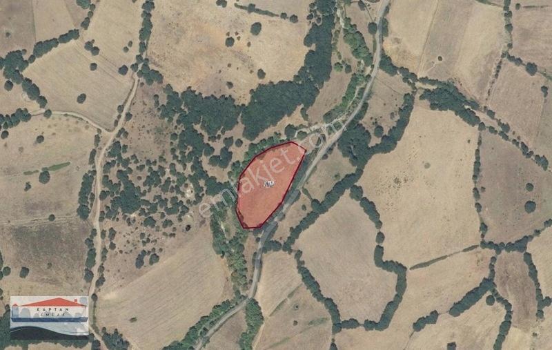 Yenice, Kovancı Köyü, Yolu Ve Suyu Olan Çilek Tarlası. — fotoğraf 21