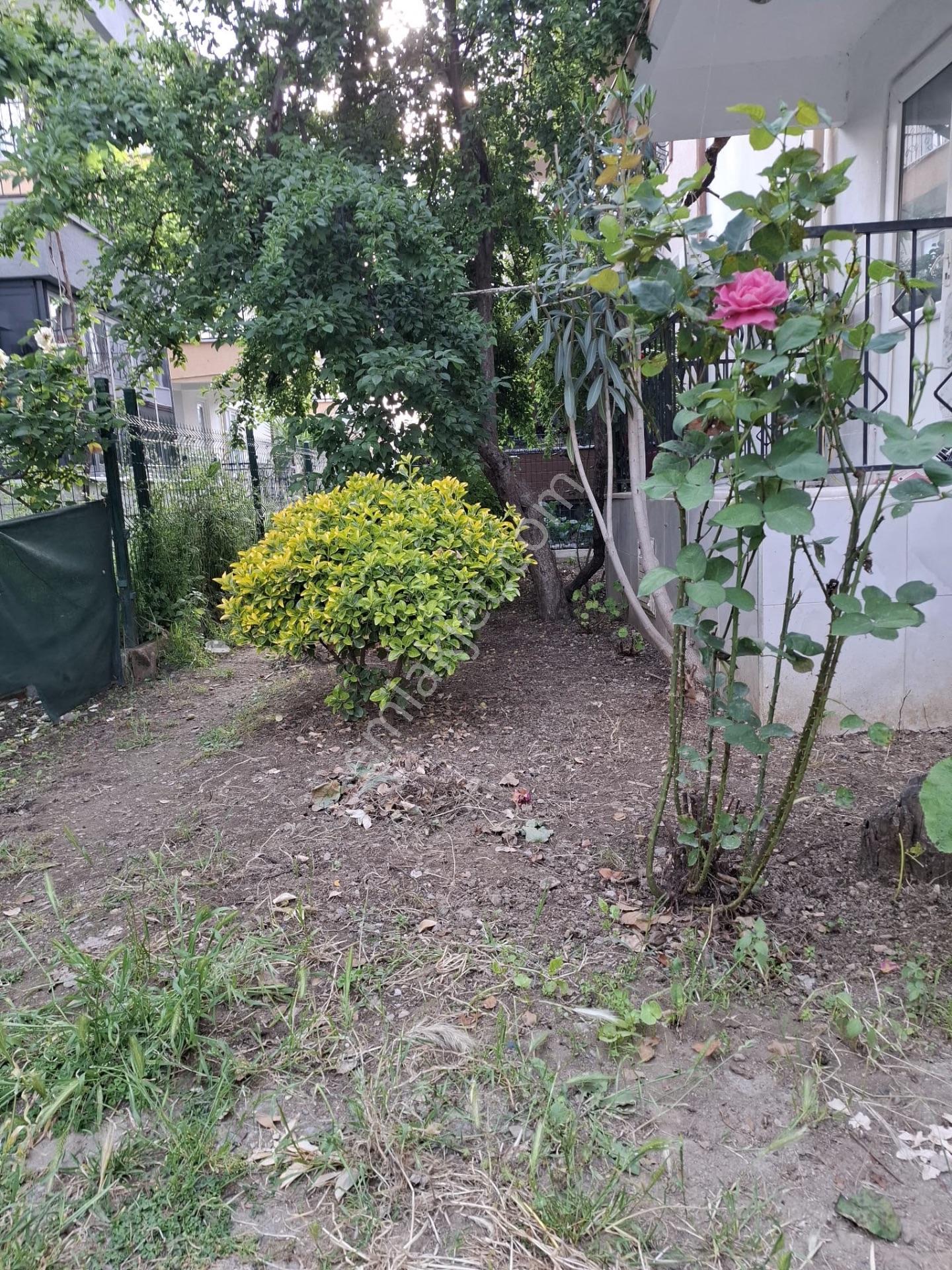 Kale’den Akçay Merkezde 4+1 Müstakil Trıbleks — fotoğraf 6