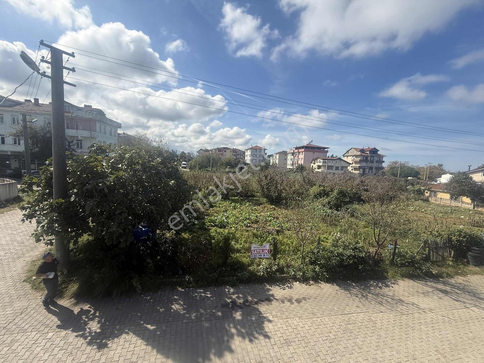 Acil Satılık! Sapak Bölgesinde Uygun Fiyatlı Kupon Arsa — fotoğraf 4