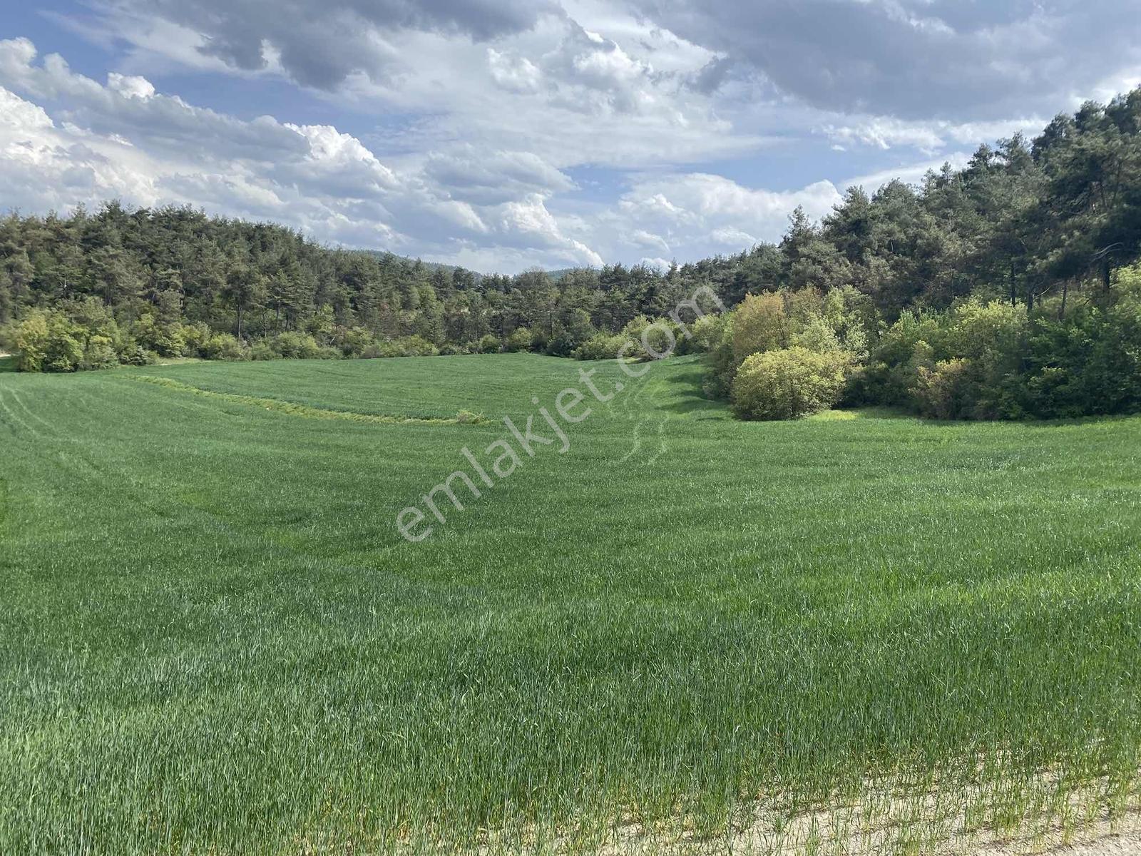 Rw/detay'dan Bolu Göynük Karacalarda Satılık Tarla — fotoğraf 2
