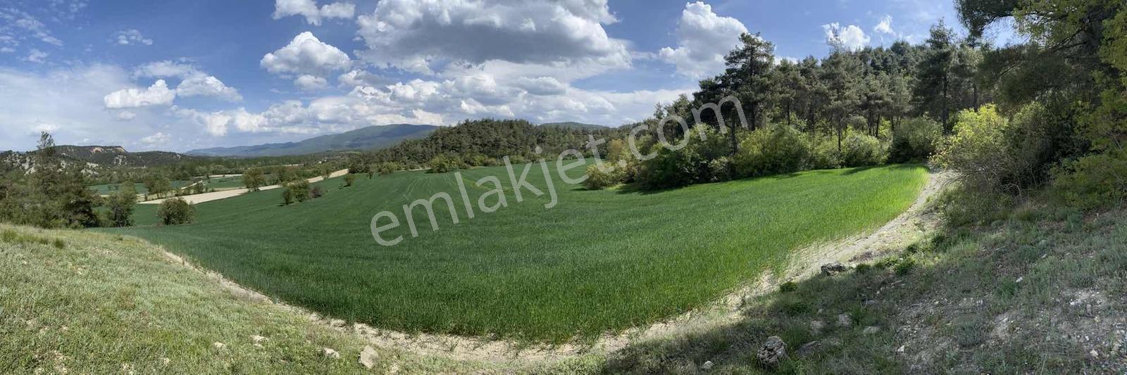 Rw/detay'dan Bolu Göynük Karacalarda Satılık Tarla — fotoğraf 5