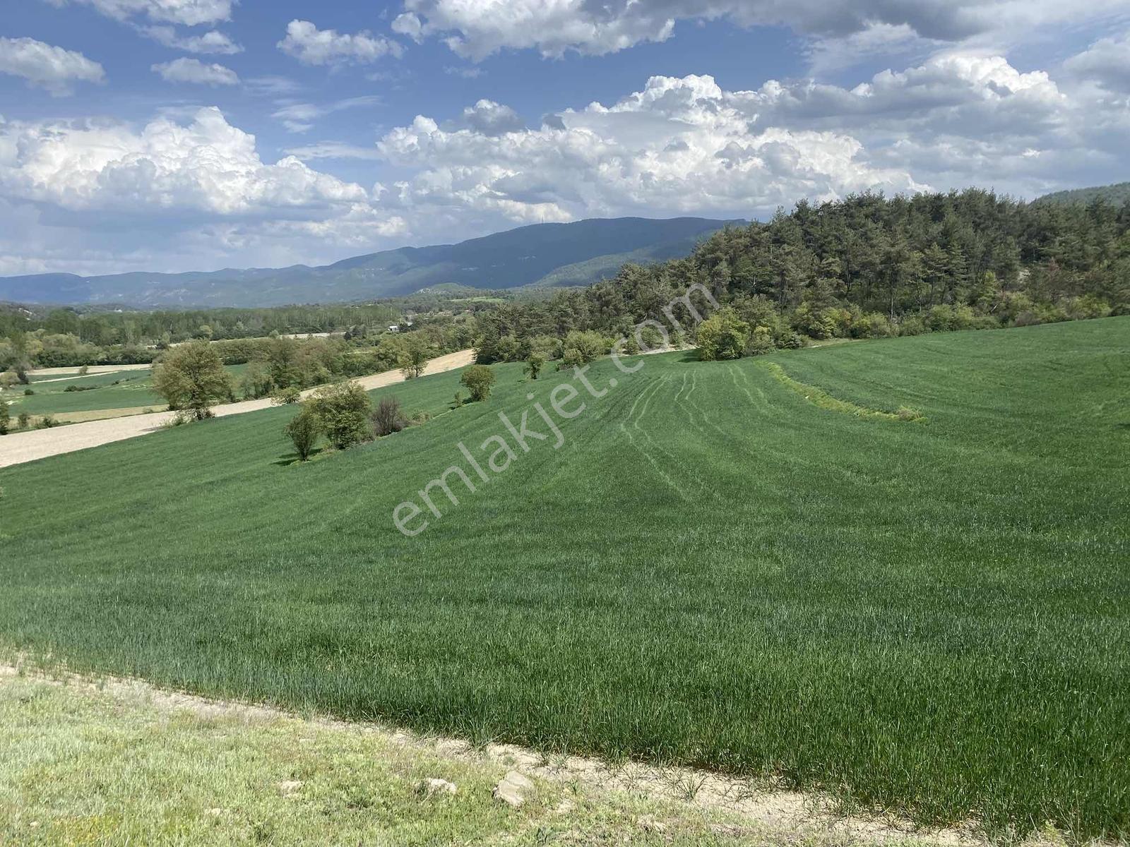 Rw/detay'dan Bolu Göynük Karacalarda Satılık Tarla — fotoğraf 10