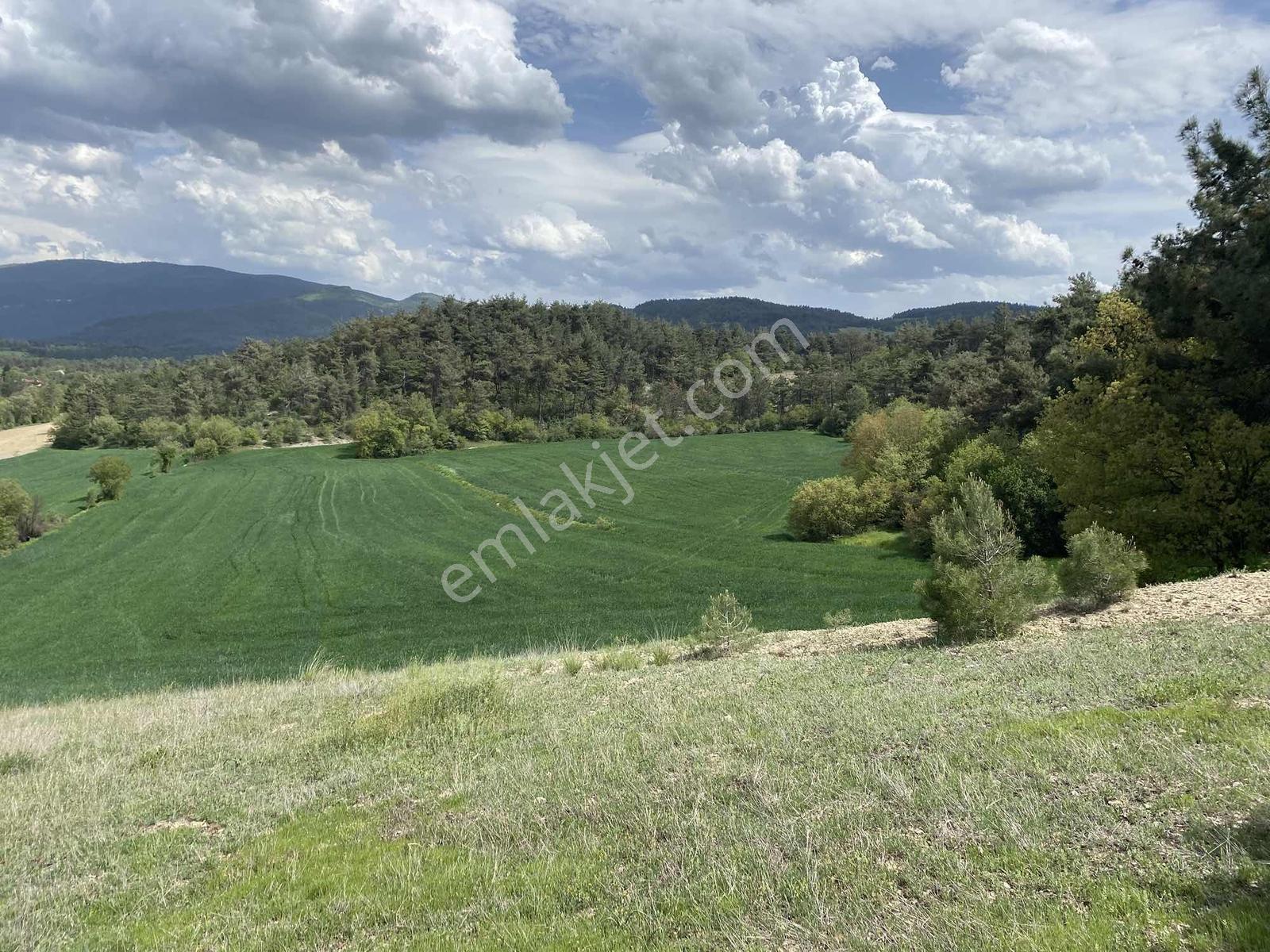 Rw/detay'dan Bolu Göynük Karacalarda Satılık Tarla — fotoğraf 13