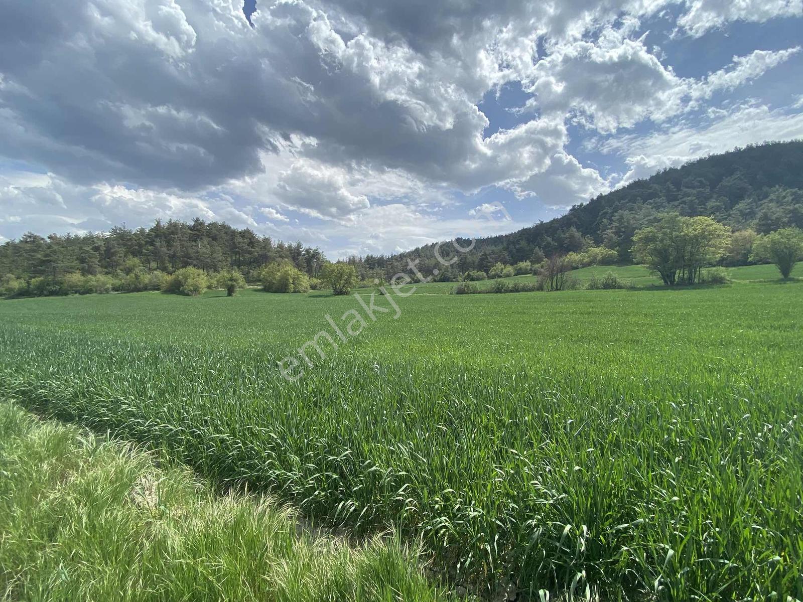 Rw/detay'dan Bolu Göynük Karacalarda Satılık Tarla — fotoğraf 16