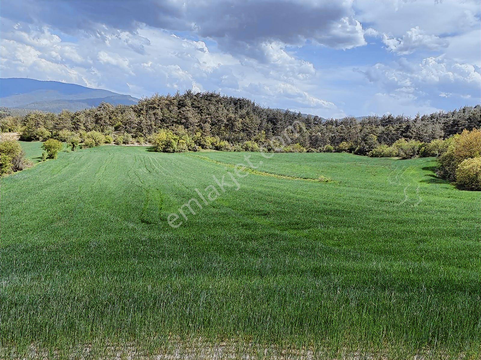 Rw/detay'dan Bolu Göynük Karacalarda Satılık Tarla — fotoğraf 17