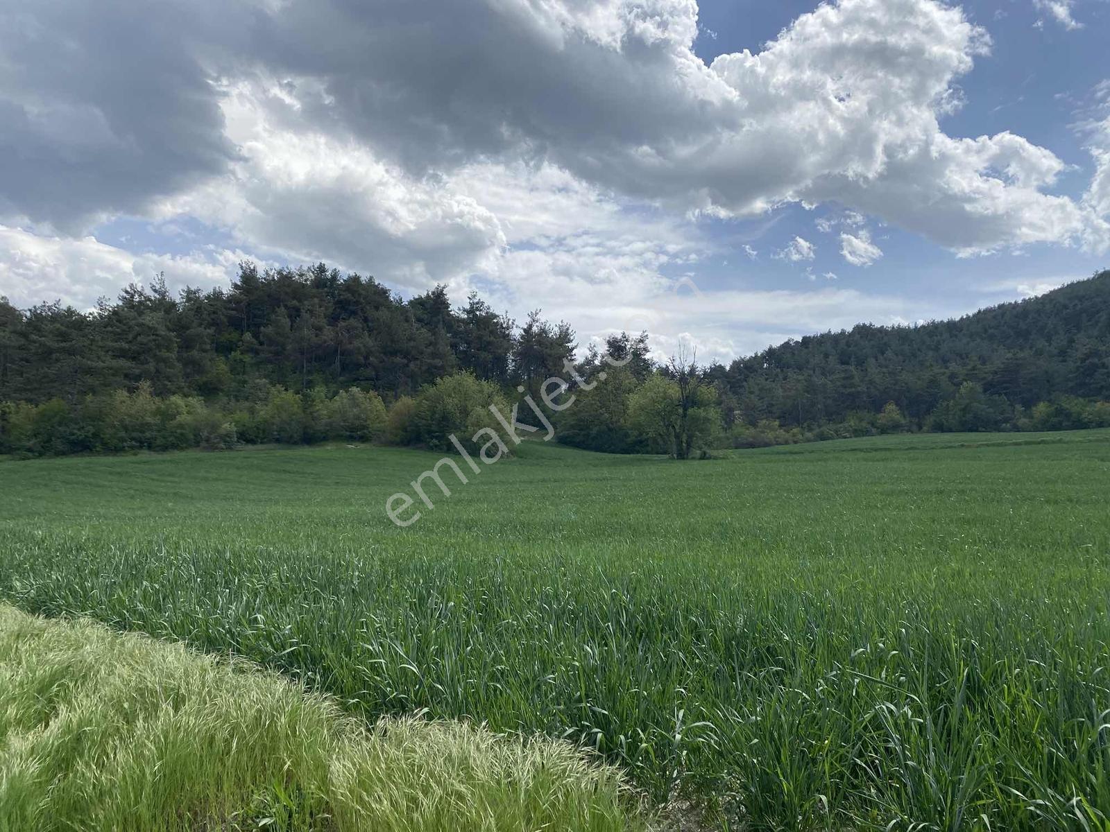 Rw/detay'dan Bolu Göynük Karacalarda Satılık Tarla — fotoğraf 20