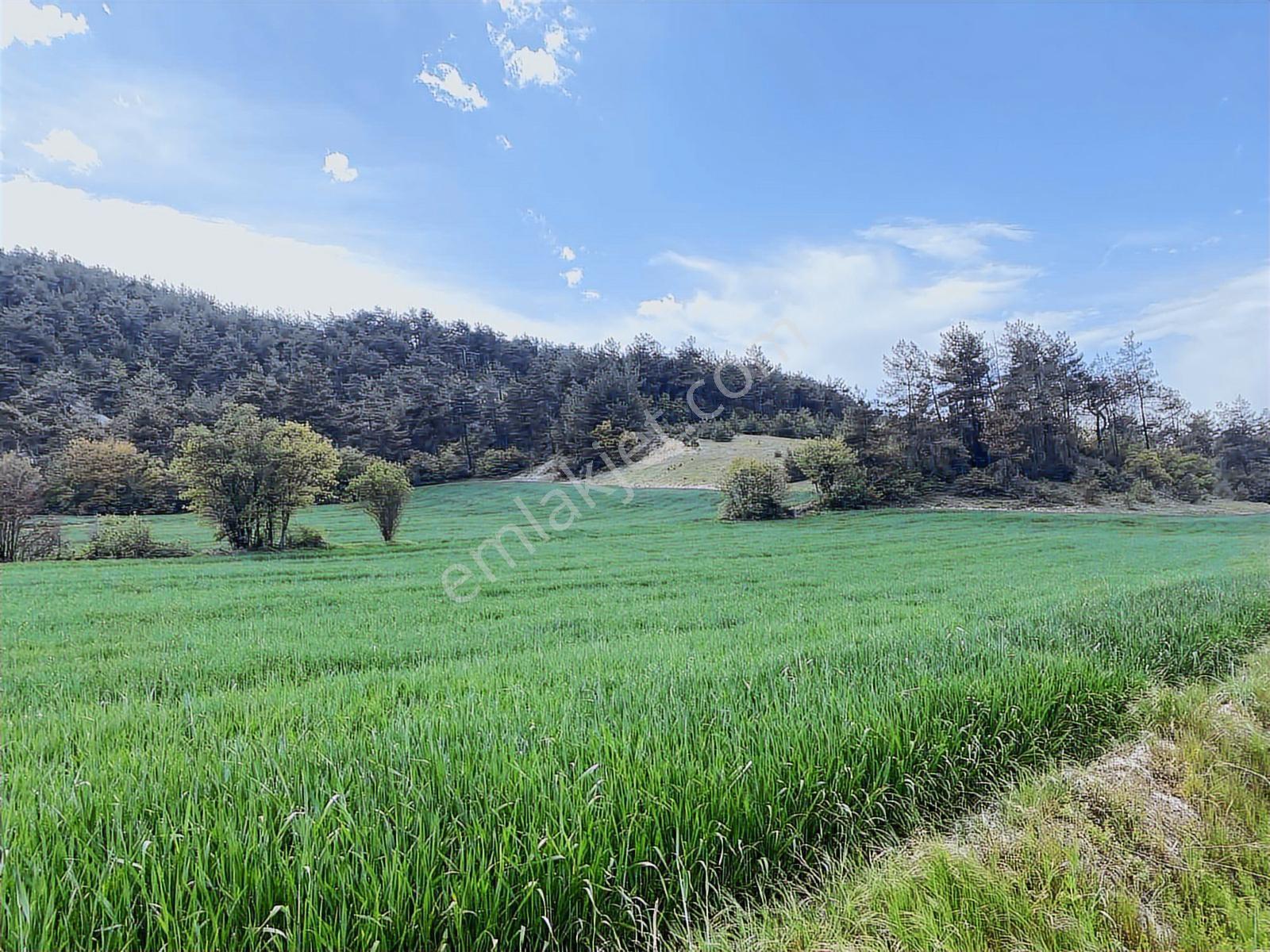 Rw/detay'dan Bolu Göynük Karacalarda Satılık Tarla — fotoğraf 22