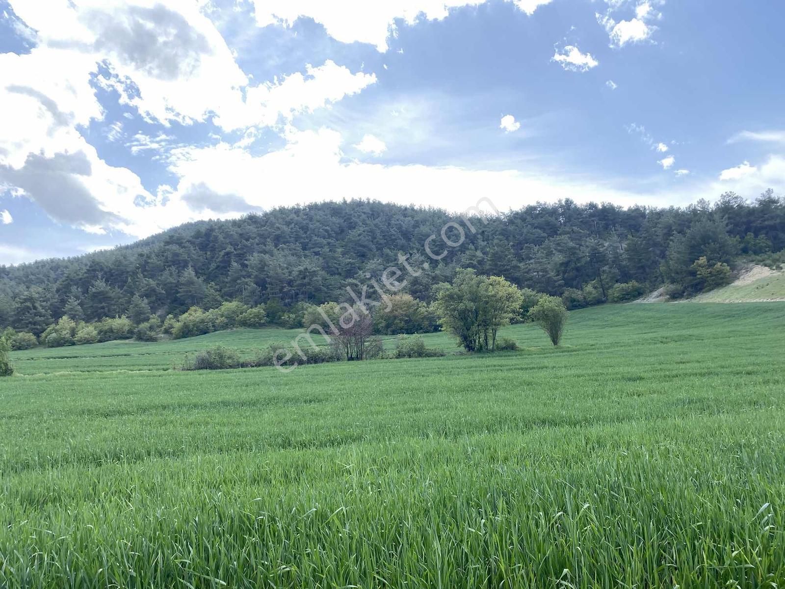 Rw/detay'dan Bolu Göynük Karacalarda Satılık Tarla — fotoğraf 23