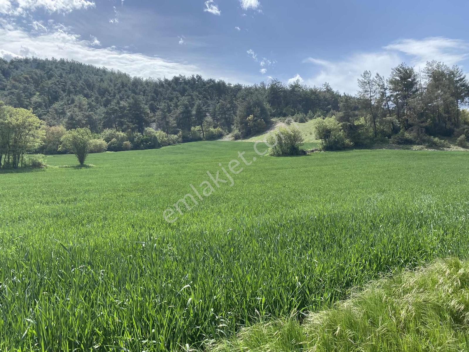 Rw/detay'dan Bolu Göynük Karacalarda Satılık Tarla — fotoğraf 24