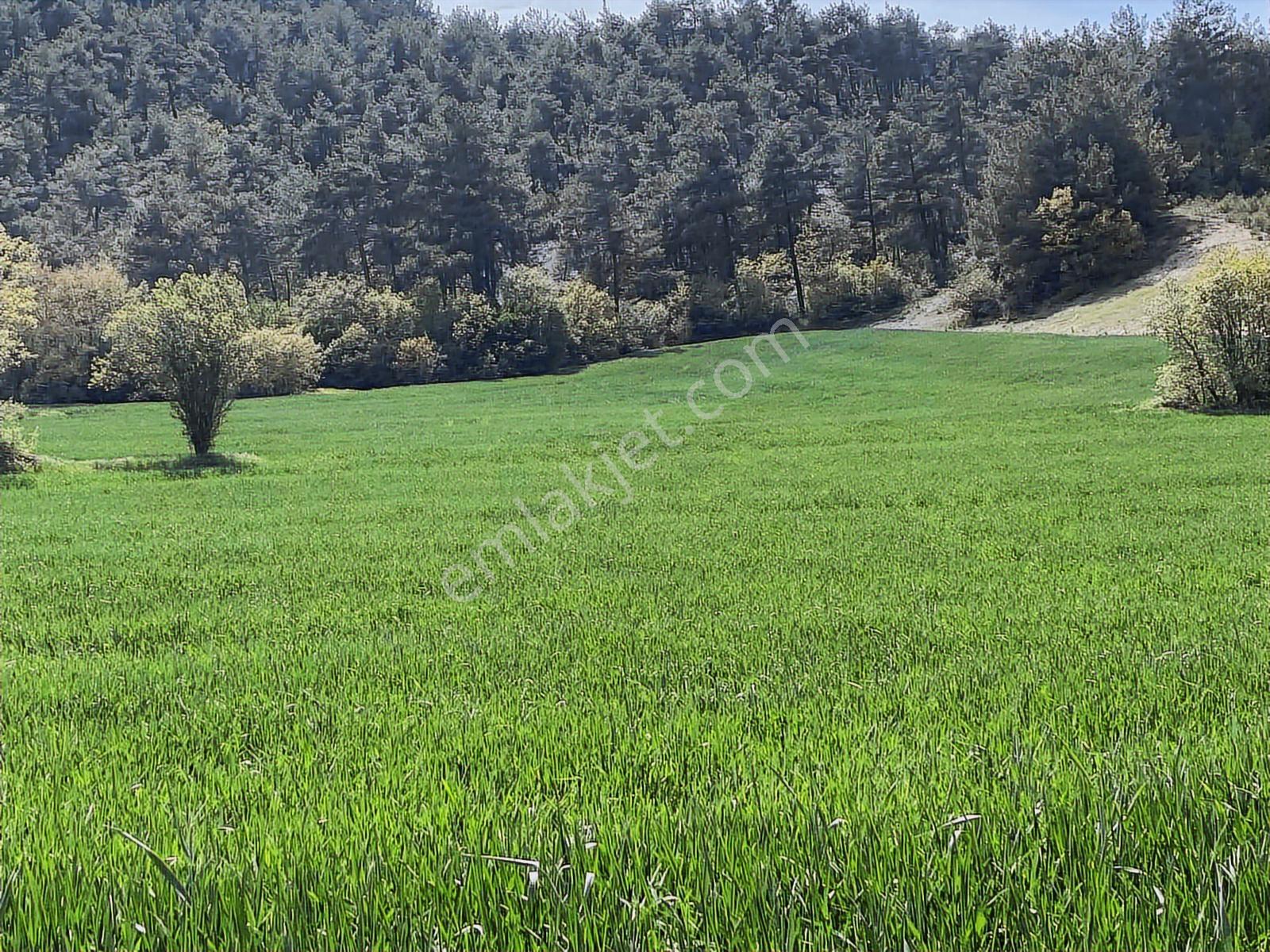 Rw/detay'dan Bolu Göynük Karacalarda Satılık Tarla — fotoğraf 25