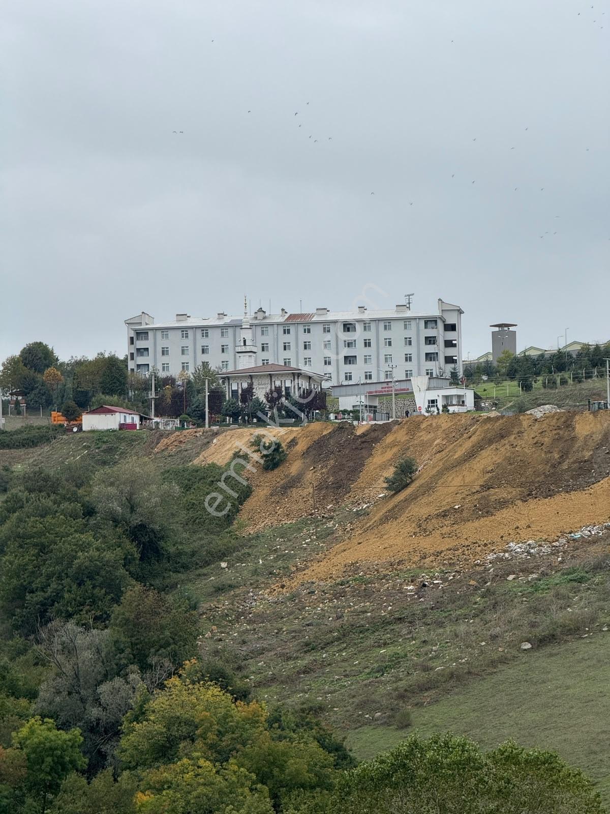 Samsun İlkadım Çandırda Yola Cephe Satılık Tarla!