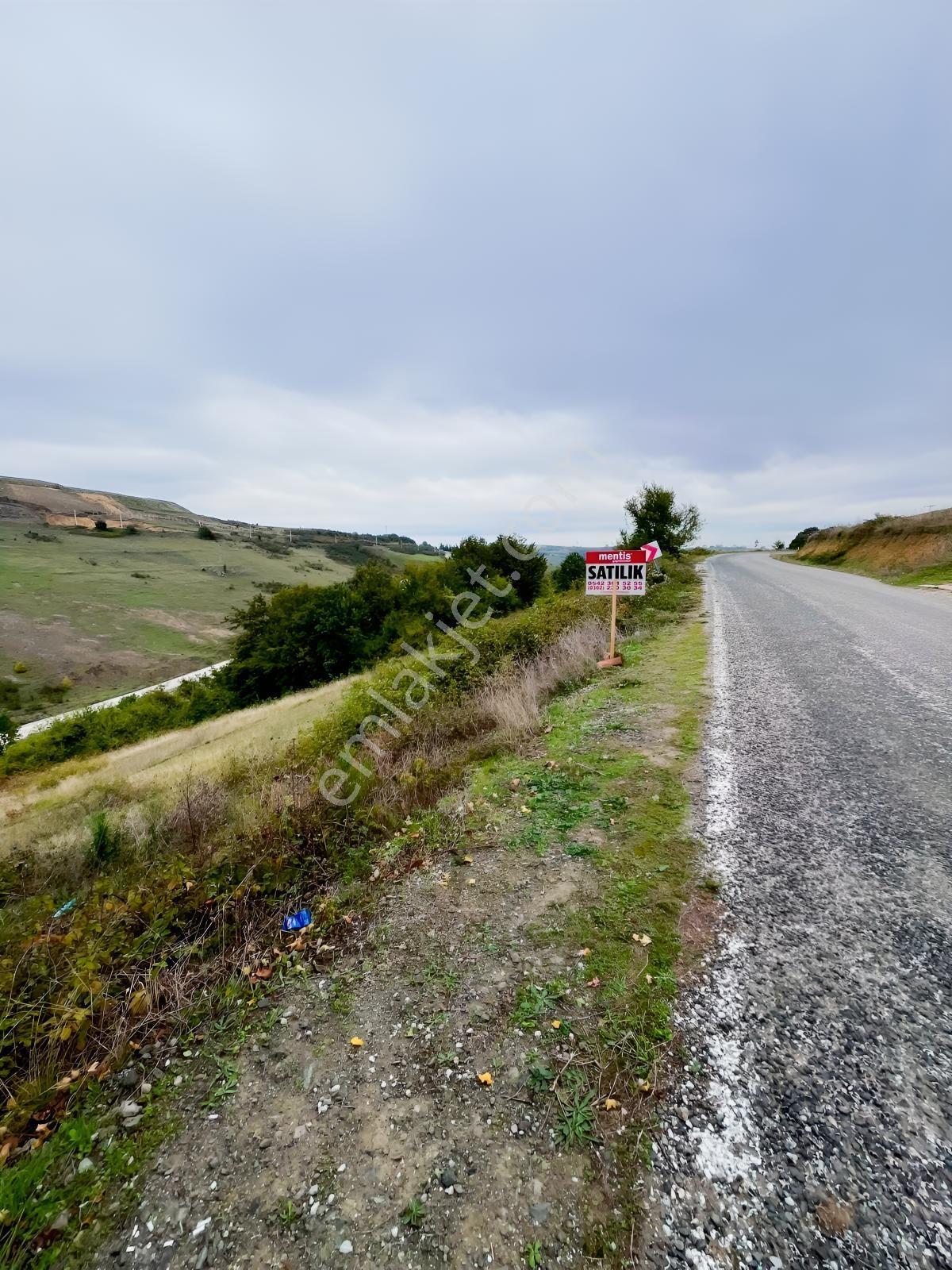 Samsun İlkadım Çandırda Yola Cephe Satılık Tarla! — fotoğraf 9