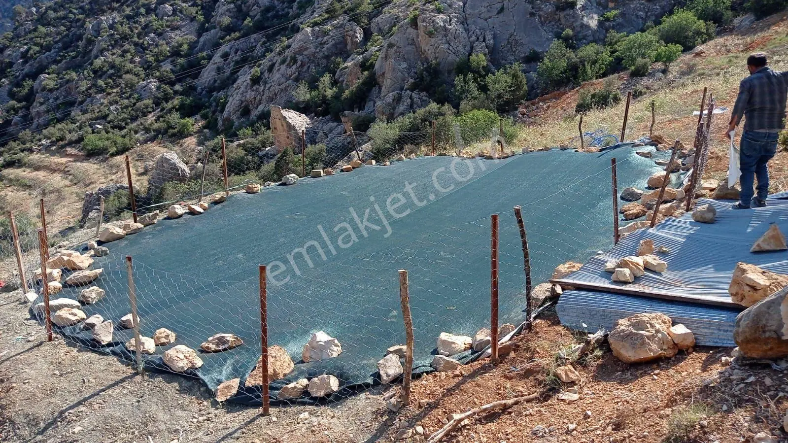 Özdemir Köyünde Satılık Zeytin Bahçesi — fotoğraf 4