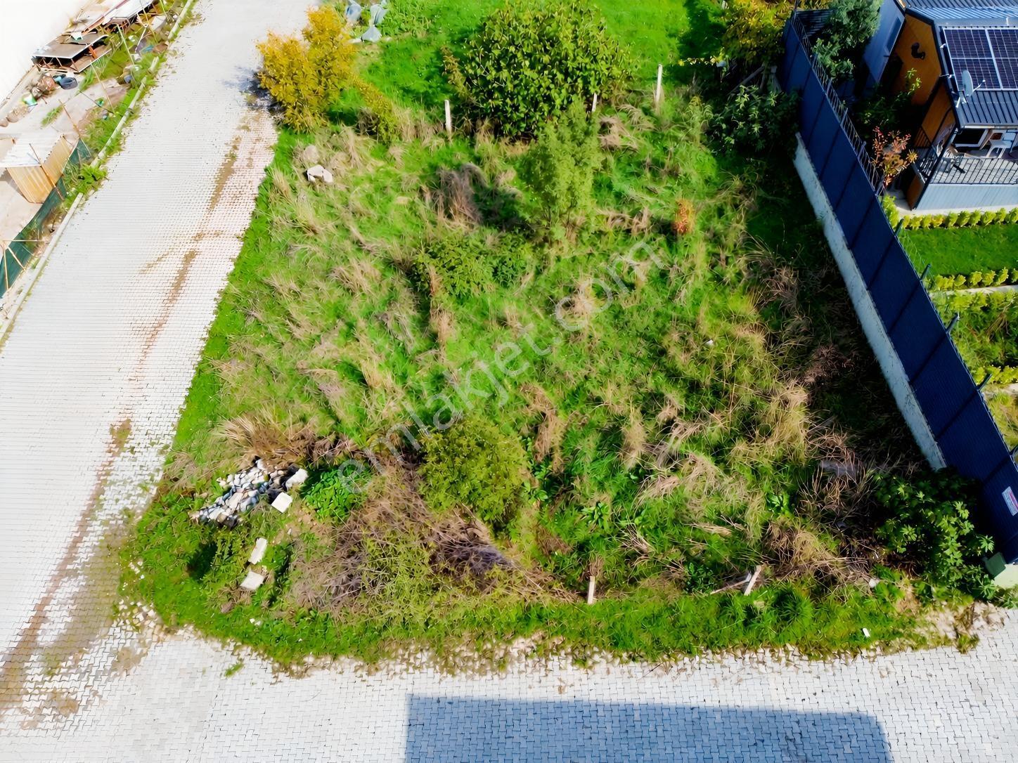Yalova Çiftlikköy Çakallarbayırında Satılık Arsa — fotoğraf 6