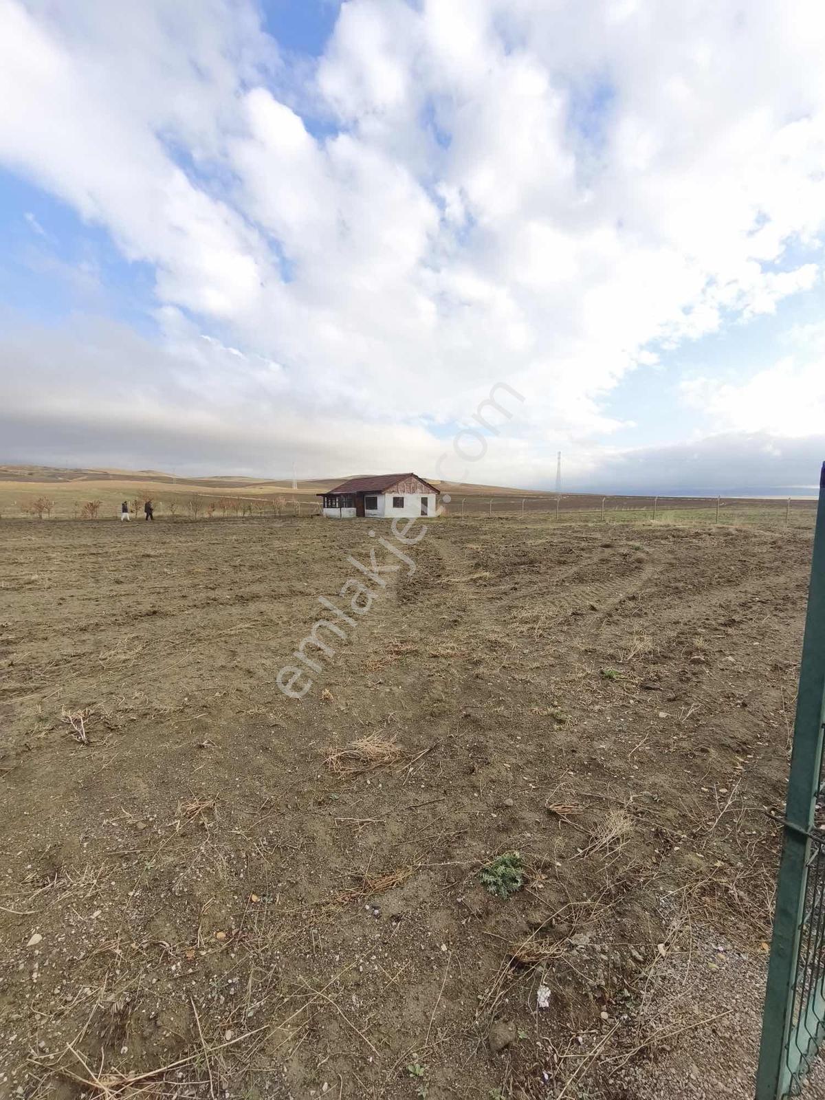 Gölbaşı Emirler Mahallesinde 14 Dönüm Tek Tapu Arazi — fotoğraf 9