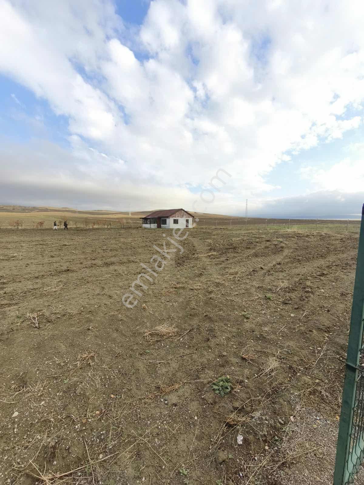Gölbaşı Emirler Mahallesinde 14 Dönüm Tek Tapu Arazi — fotoğraf 19