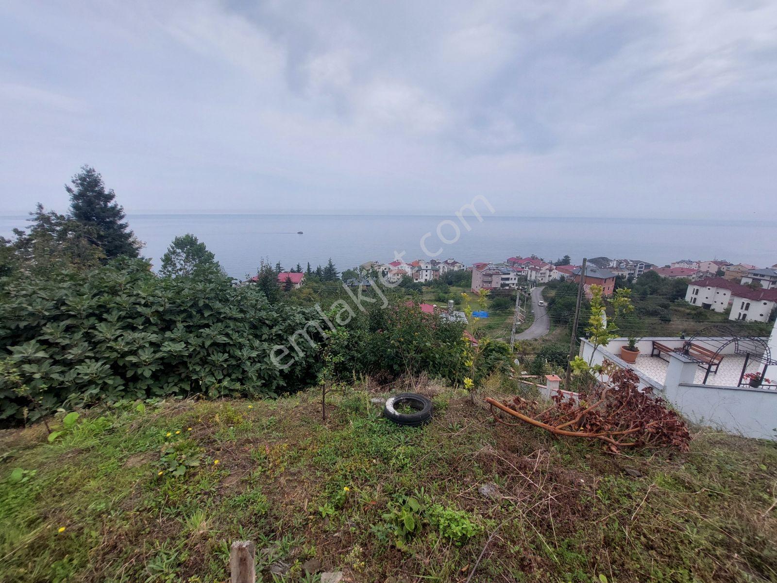 Mabel'den Akçaabat Mersin De Satılık Arsa — fotoğraf 2