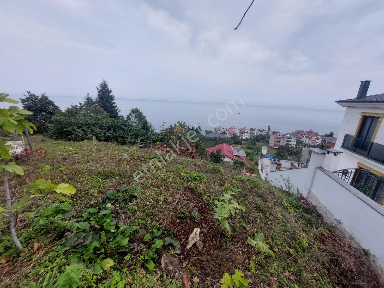 Mabel'den Akçaabat Mersin De Satılık Arsa — fotoğraf 3