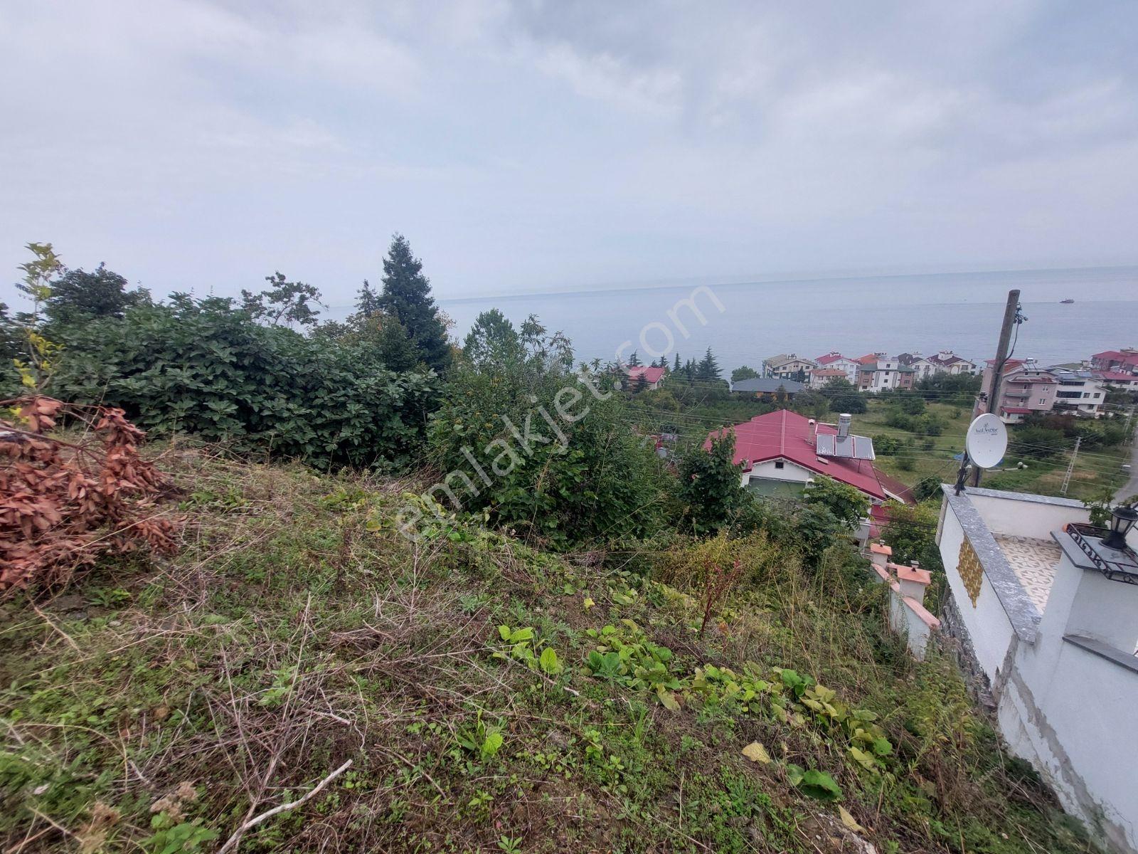 Mabel'den Akçaabat Mersin De Satılık Arsa — fotoğraf 4